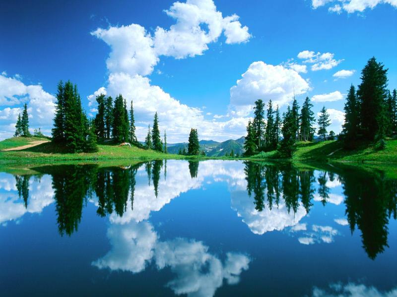�й��޹�����ֳ���Ĳ���