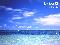 sea3