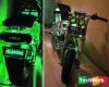���Ħ�г������Ǿ�NVIDIA�������������ɶ�������������Dennis Ilyin��Ƶ�