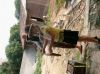 �ó�һƥ�䳲���ŵ�ҡ�ۻ���Ϳ��Դ����ˡ�