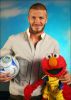 С��Ҳ��Sesame Street(֥���)�ķ�˿