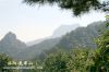 花果山森林