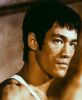 ��С����Bruce Lee����  