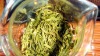 叶底黄绿嫩匀,内卷如芽状,多为1芽和1芽1叶