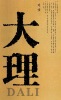 阅读大理