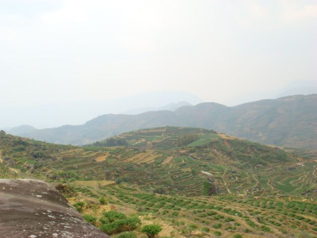 <em>福建</em>溢华<em>茶叶</em>_品茶<em>妹</em> - 阿里巴巴博客