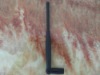 2.4G5dbi天线