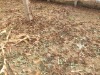 ������ѩ��ů����Ļȳ档  