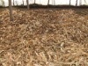 ��ѩ��ʱ�����ʱ�����Ƕ����ڲ������ �����������ֳ����ˡ�  