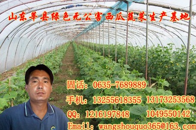 山东<em>莘县妹冢镇大常庄</em>西瓜蔬菜交易市场_wan