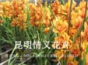 ��ޥ��ͼƬ 