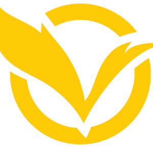 ����Ӣ