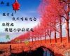 gjqt408438104�Ĳ���