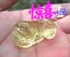 inpuyu�Ĳ���