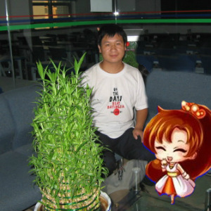���಻��|ϴ����