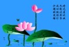 linguangcheng2008