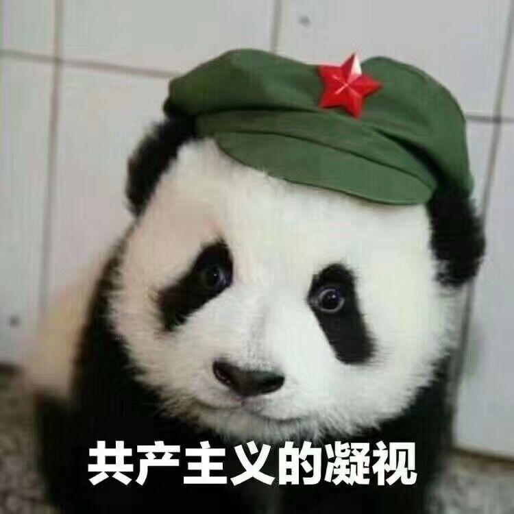 ��Աͷ��
