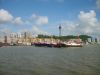 rouzoe�Ĳ���
