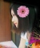 shmily�Ĳ���