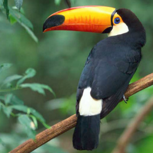 天猫商城服务热线电话是