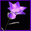 zzlxwtfs�Ĳ���