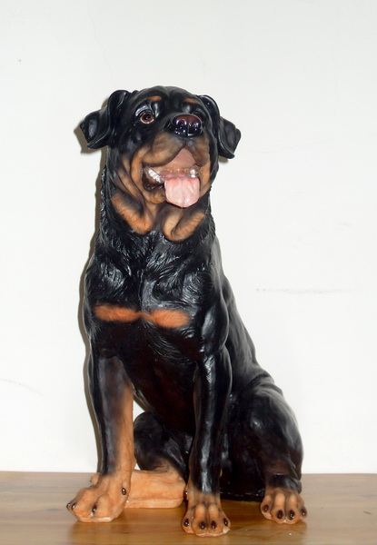 来看看你的宝贝智商在世界的排行榜上是第几名