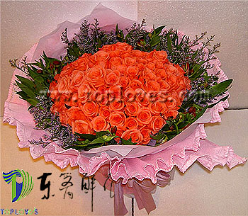 阿里的安徽人和安庆人多吗?