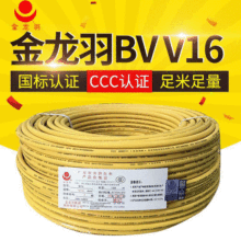 金龍羽電線BVV16平方純銅導線 國標銅芯入戶線家用主線 現貨直發