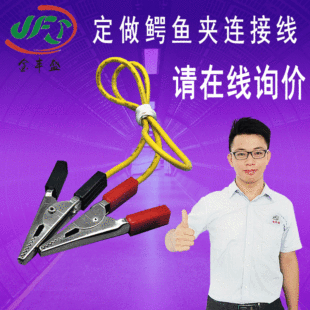 金豐盛電瓶夾子連接線 10A中號紅黑鱷魚夾子帶線 20awg電源夾線束