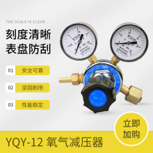 YQY-12氧氣表減壓器2.5*25mpa全銅本體調節閥鋼瓶 上海天川儀表廠