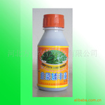 ��Ӧ �²�Ҷ��� �²˰����� Ҷ��� ����Ҷ���Ƽ�