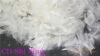 2-4CMˮϴ�׶�ëƬ�������������޴��������