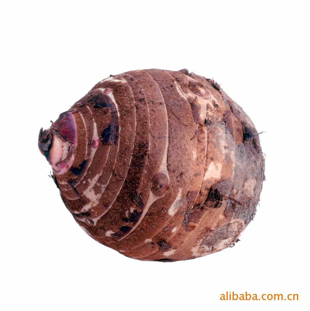 芋艿 洋芋艿 各类农产品 支持出口 大量-价格及