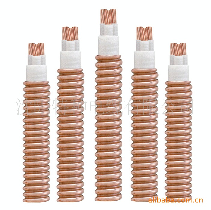 BTTR(YTTW)柔性防火电缆 图片