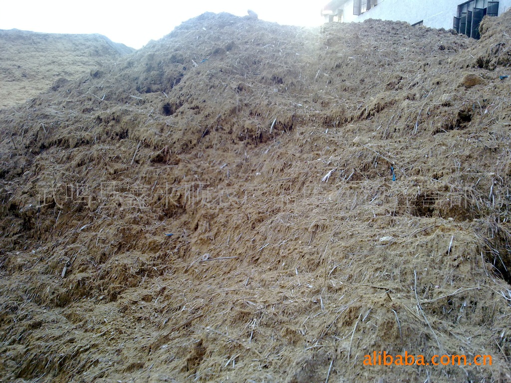 常年广西产地食用菌栽培原料:甘蔗渣价格及生