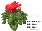 ��Ӧ�������ڹۻ�����  �ɿ���