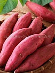 �����ϸ�Ȫ����ũҵ����Ӧ�����޹����ع�