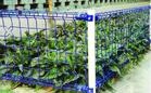 供应双圈护栏网,高速公路护栏网。