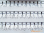 �޽Ӽٽ�ë��extension eyelashes,false eyelashes