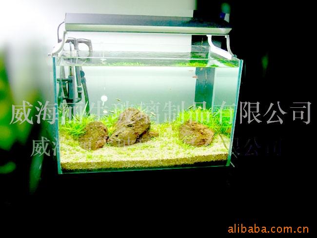 【丽生】水草超白鱼缸图片,【丽生】水草超白