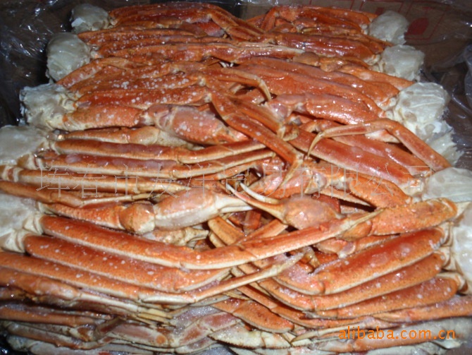 会社直接供应朝鲜雪蟹脚 雪蟹腿 分割蟹-海鲜批