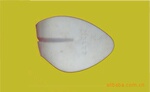 新款PU防水台,一次性发泡,有硬度保证