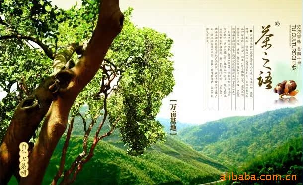 茶籽粉\/洗碗宝(纯天然有机茶籽粉280g)-山茶油价格及生产销售厂家-湖州吴兴小王蜂产品商店 - 农业品商贸网