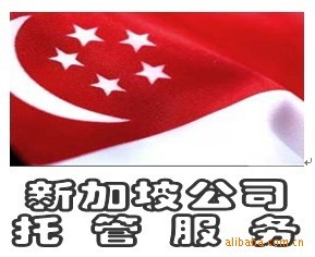 公司注册-提供注册新加坡公司托管服务-BVI公