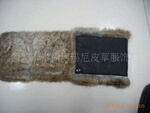 厂家生产各种裘皮皮草毛领,毛条,帽条等服装服饰,毛领厂,毛领