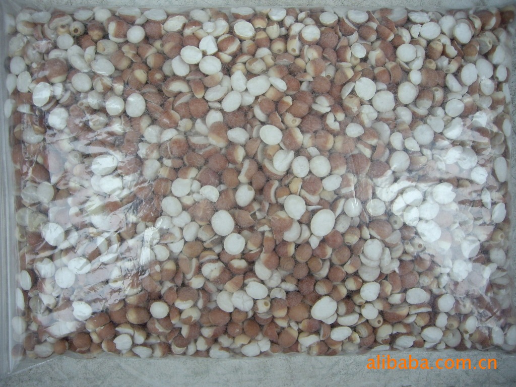 【产地供应芡实米鸡头米招收区域销售代理】价