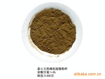 山东正信供应灵芝超细粉加工