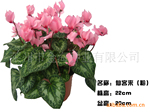 ��Ӧ�������ڹۻ�   �ɿ���