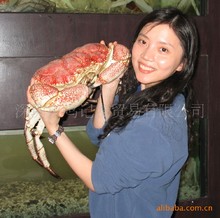 州进口海鲜_鲜活水产品_广州进口海鲜批发_广