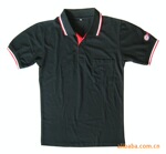 ���T�� ���ݹ��� �ļ��������T���� Polo��